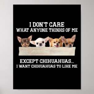 Chihuahua, jag bryr mig inte om vad nån tycker om  poster