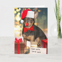 Chihuahua jul