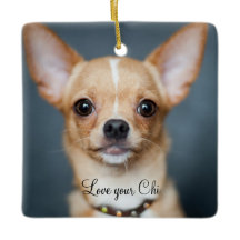 Chihuahua jul Ornament Square Photo