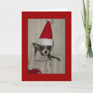 Chihuahua julafton Card Helgkort