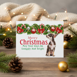 Chihuahua-julkort Helg Vykort