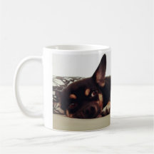 Chihuahua-kaffe mugg