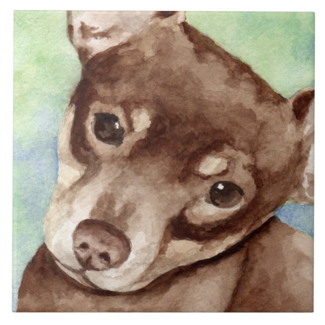 Chihuahua Kakelplatta (Framsidan)