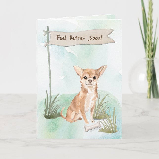 Chihuahua känner sig bättre efter kirurgi i Hund Kort (Framsida)