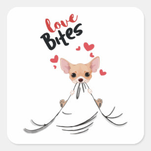 Chihuahua Kärlek Bita Valentines day ger till henn Fyrkantigt Klistermärke
