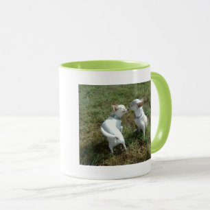 Chihuahua Kärlek Mugg