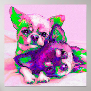 chihuahua kärlek poster
