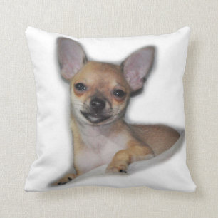 Chihuahua-kastkudde Kudde