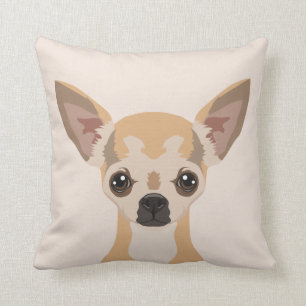 Chihuahua Kudde
