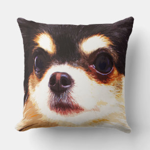 chihuahua kudde