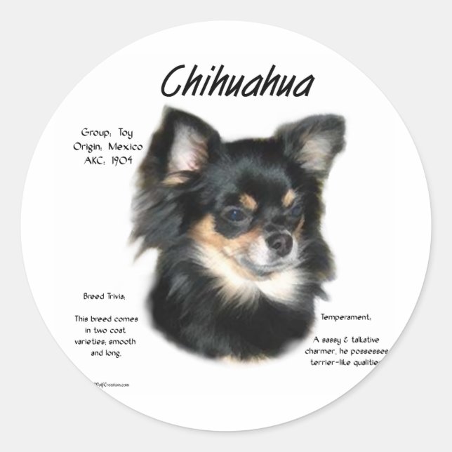 Chihuahua (lång) historikdesign runt klistermärke (Framsida)