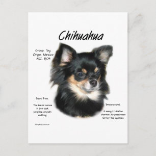 Chihuahua (lång) historikdesign vykort