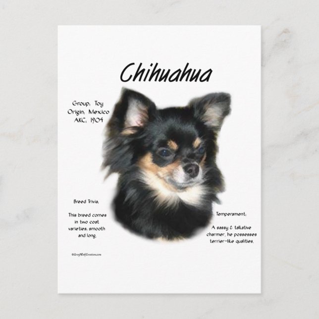 Chihuahua (lång) historikdesign vykort (Framsida)