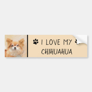 Chihuahua Långhårig Hund Målar Original Konst Bildekal