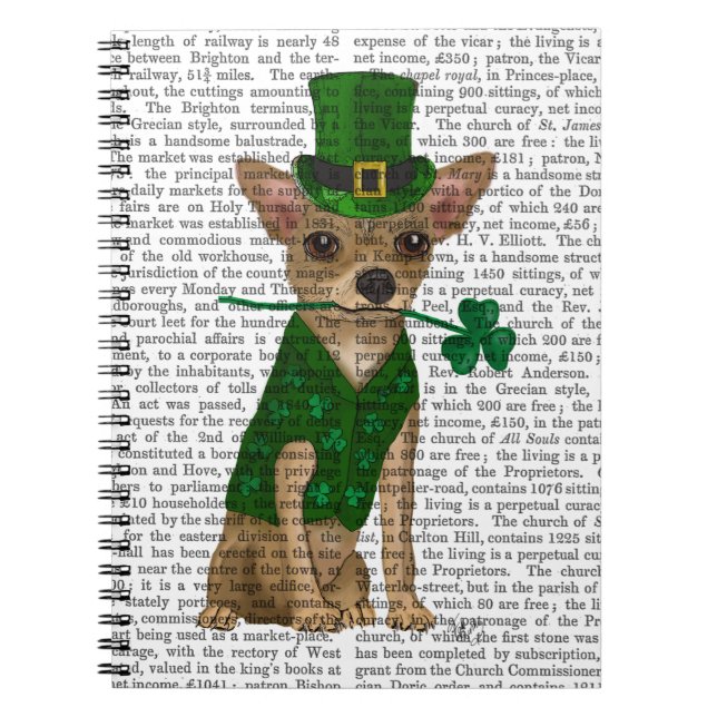 Chihuahua Leprechaun Anteckningsbok Med Spiral (Framsidan)