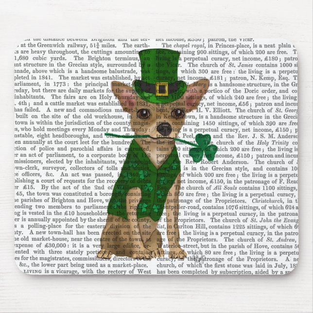 Chihuahua Leprechaun Musmatta (Framsidan)