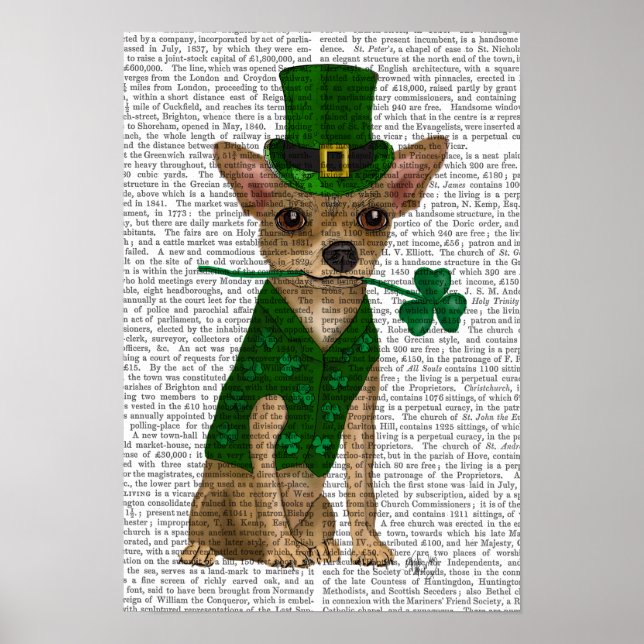 Chihuahua Leprechaun Poster (Framsidan)
