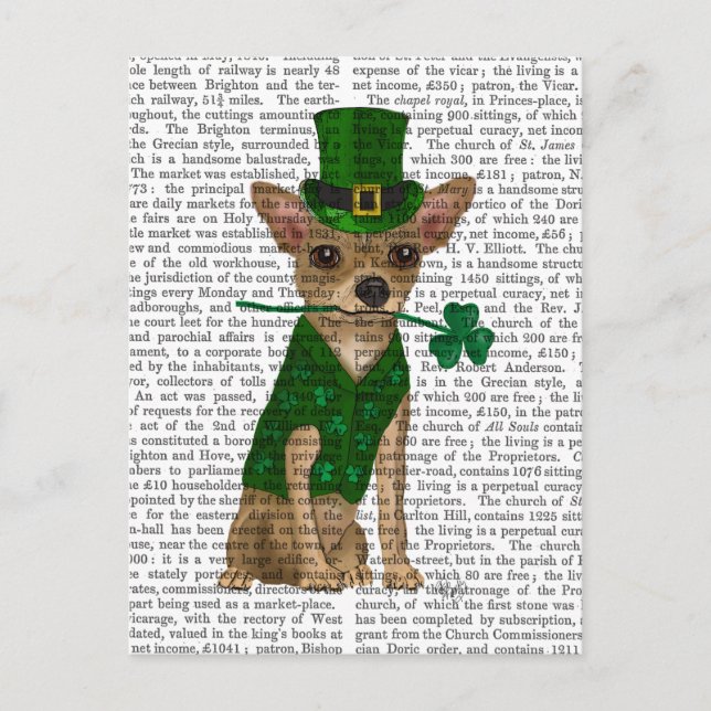 Chihuahua Leprechaun Vykort (Framsida)