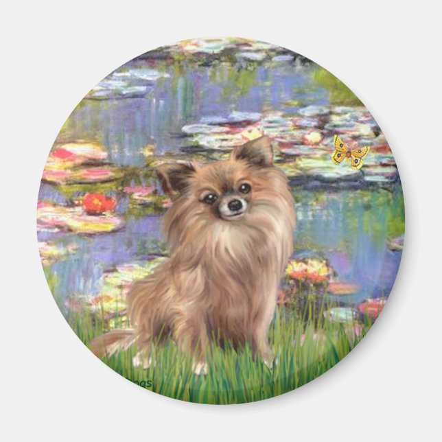 Chihuahua (LgHair 1) - Liljor 2 Magnet (Framsidan)