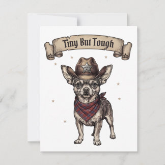 chihuahua, liten men tuff, cowboyhund, västerländs OSA kort
