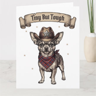 chihuahua, liten men tuff, cowboyhund, västerländs tack kort