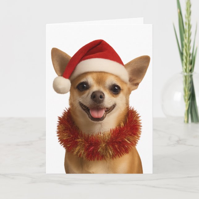 Chihuahua looking cheeky Santa hat Christmas card Kort (Framsida)