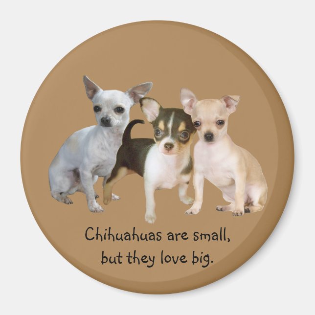 Chihuahua Lycklig Trio Magnet (Framsidan)