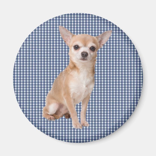 Chihuahua Magnet (Framsidan)