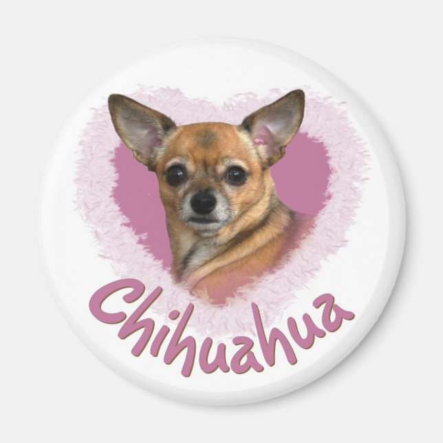Chihuahua Magnet (Framsidan)