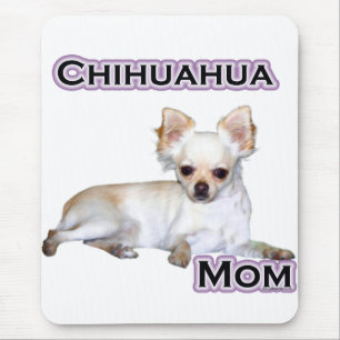 Chihuahua Mamma 4 Musmatta