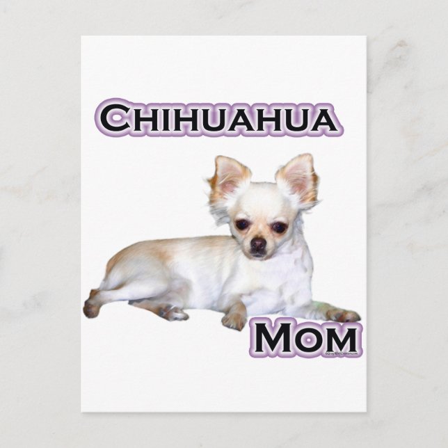 Chihuahua Mamma 4 Vykort (Framsida)