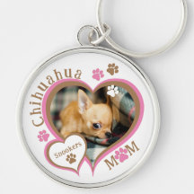 Chihuahua Mamma Personlig Namn och Photo