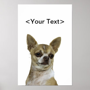 Chihuahua med attityder poster