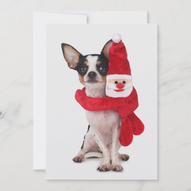 Chihuahua med jultomtendockan julkort (Framsida)