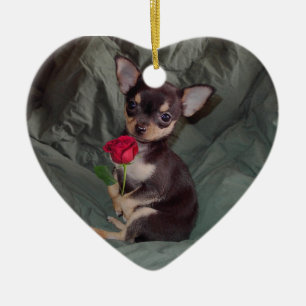 Chihuahua MerryRose Holding A Ro Ornament