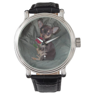 Chihuahua MerryRose Holding A Ro Watch Armbandsur