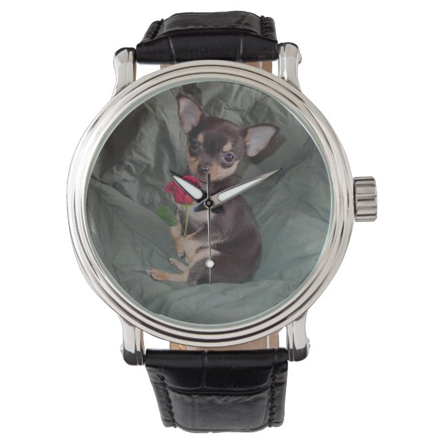 Chihuahua MerryRose Holding A Ro Watch Armbandsur (Framsida)