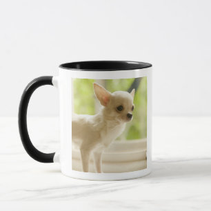 Chihuahua Mugg