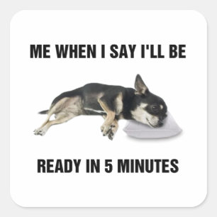 Chihuahua när jag säger att jag kommer att vara Re Fyrkantigt Klistermärke