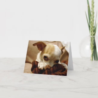Chihuahua Note Card Kort