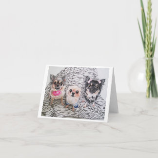 Chihuahua Notecards Kort