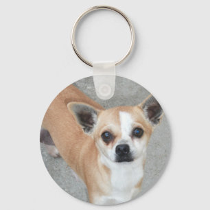 CHIHUAHUA NYCKELRING
