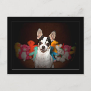 Chihuahua och leksak vykort