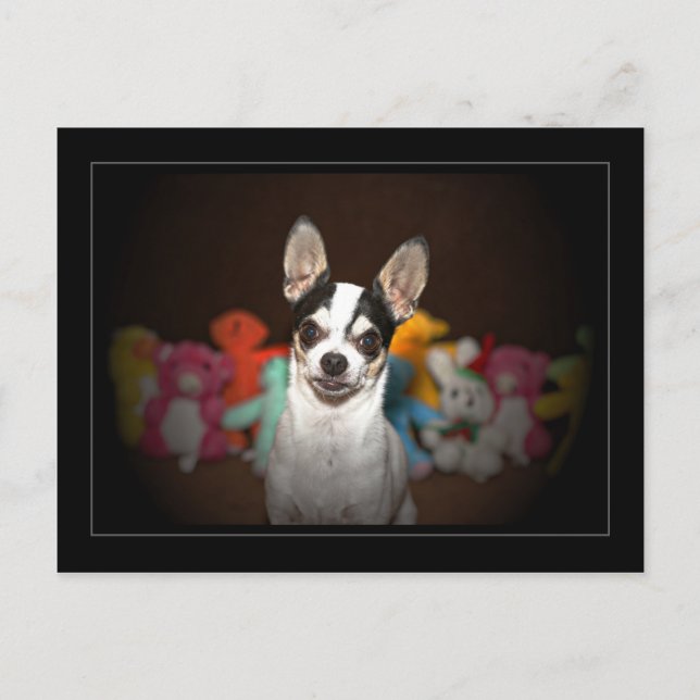 Chihuahua och leksak vykort (Framsida)