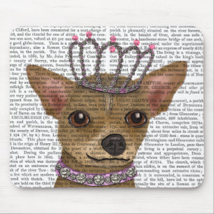 Chihuahua och Tiara Musmatta
