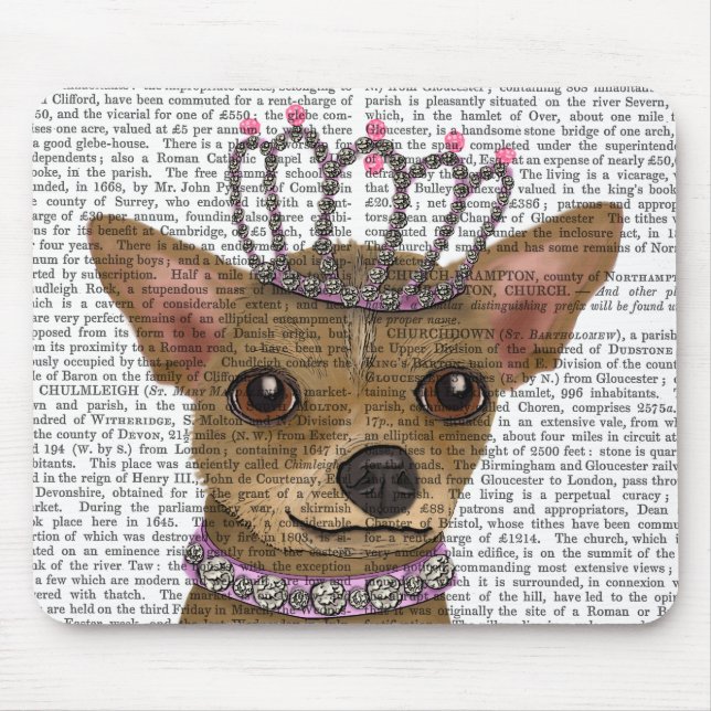 Chihuahua och Tiara Musmatta (Framsidan)