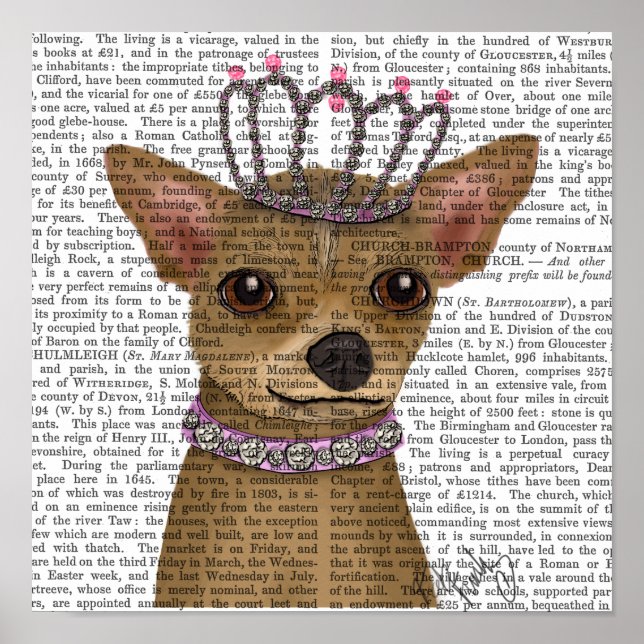 Chihuahua och Tiara Poster (Framsidan)