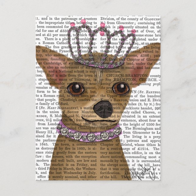 Chihuahua och Tiara Vykort (Framsida)