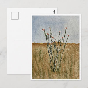 Chihuahua-öknen Ocotillo vykort