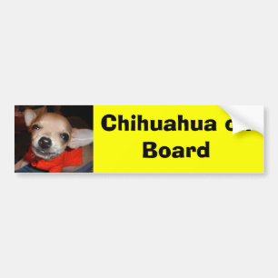 Chihuahua ombord bildekal